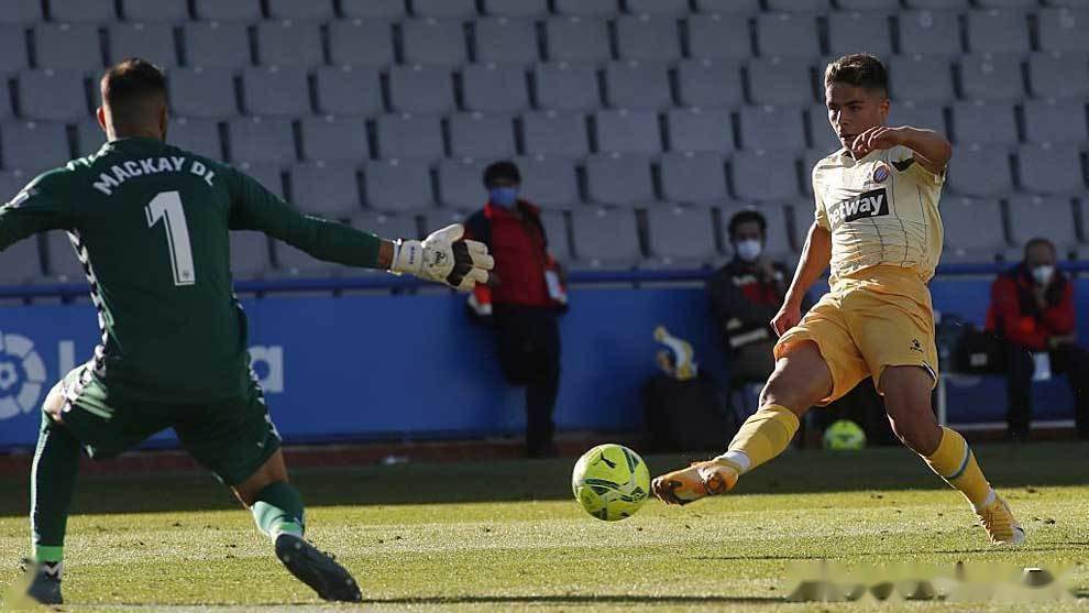 荷甲直播在线观看高清-九游比分入口